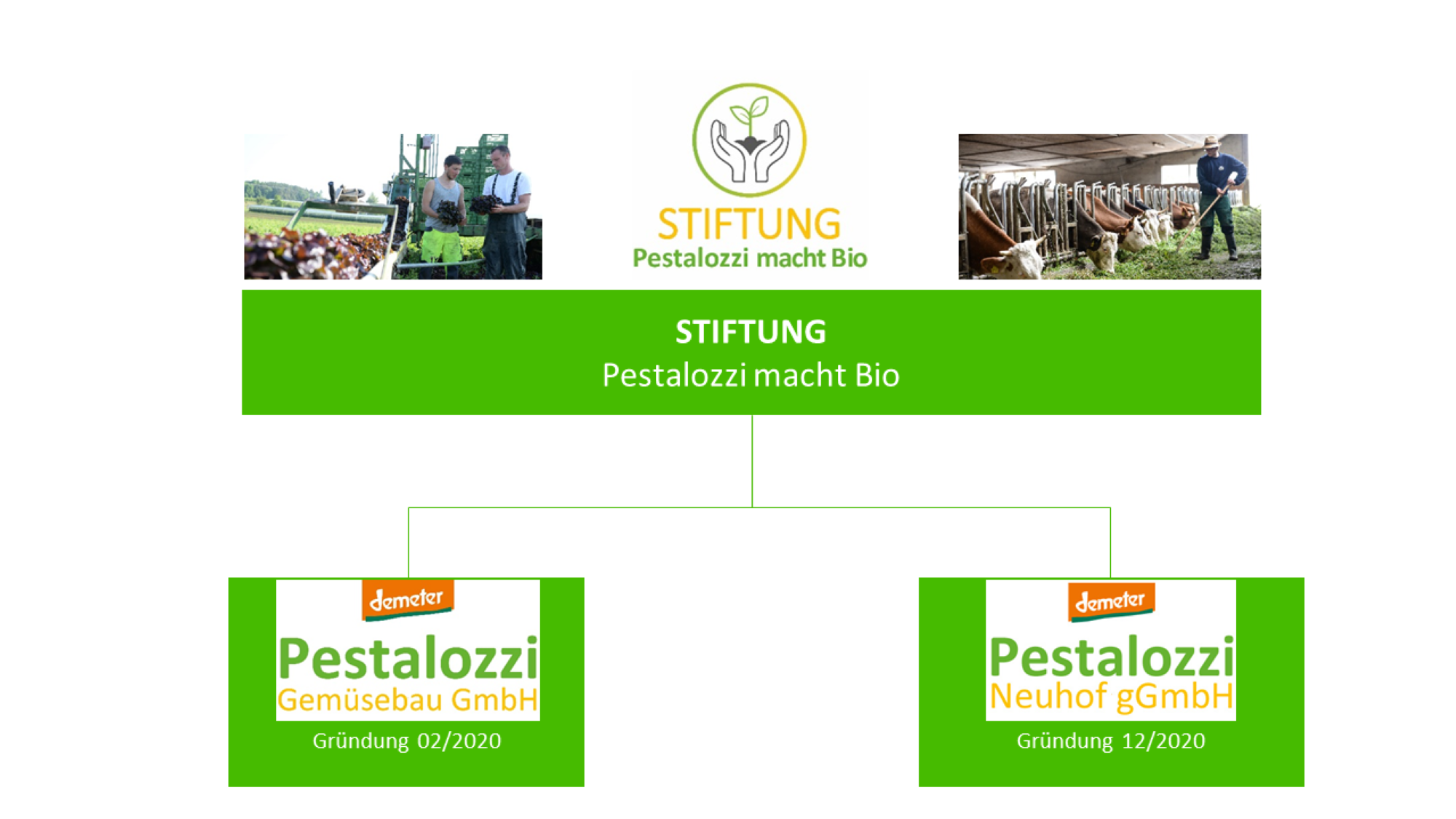 Gemüsebau