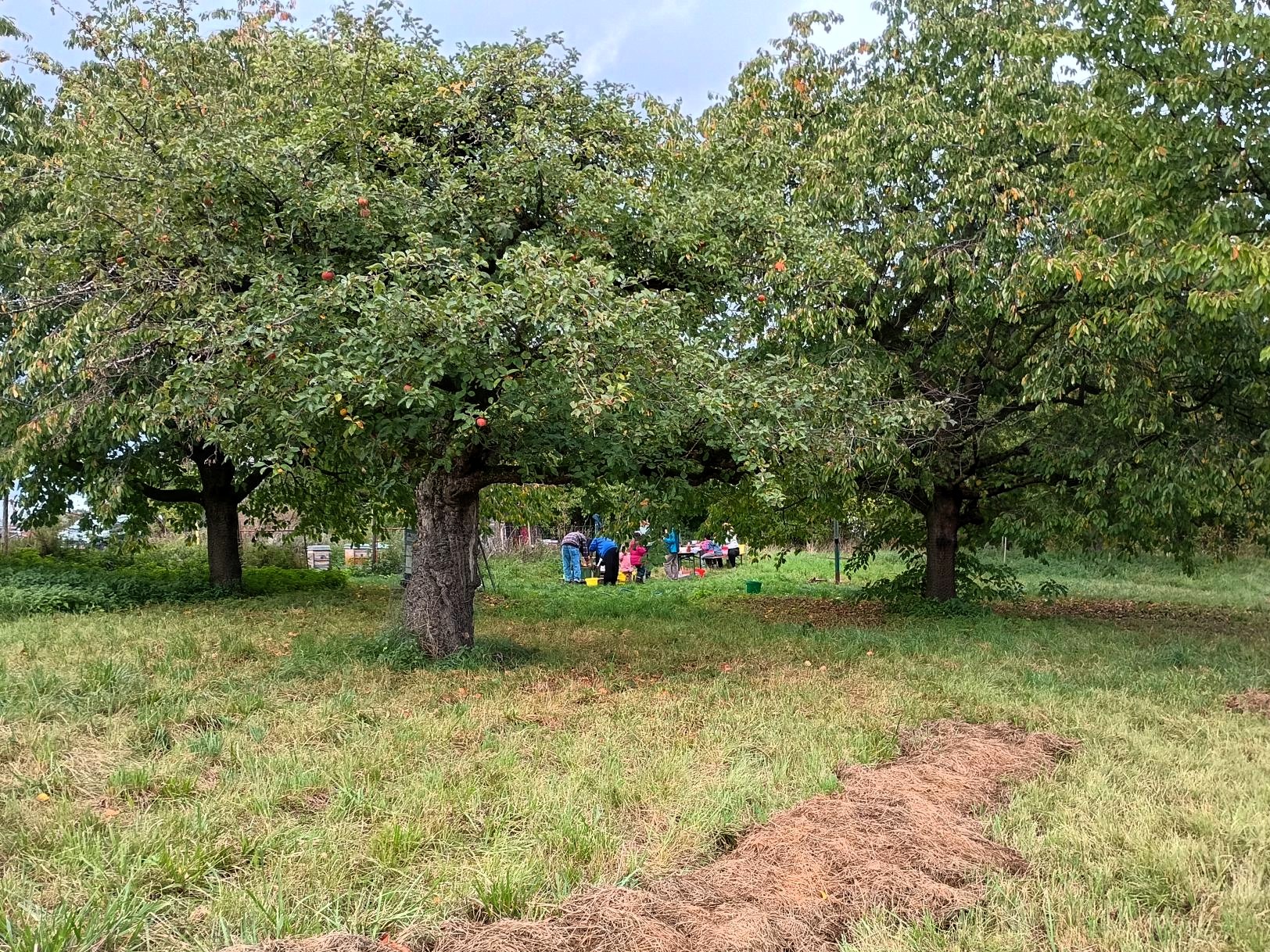 Die Gruppe auf der Streuobstwiese