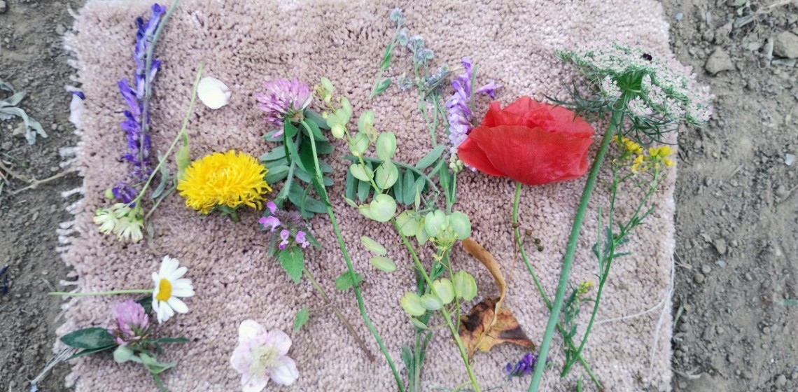Farben in der Natur